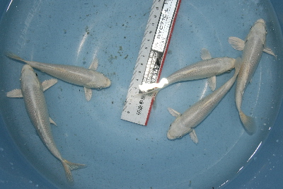 20071004 014t-400.jpg